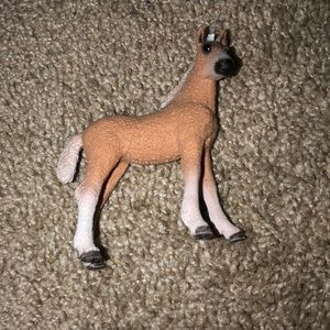 Tan and white horse foal